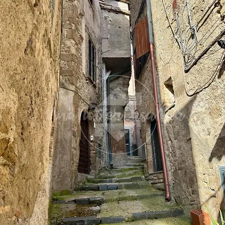 L' Attico 
